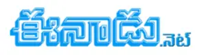 News logo
