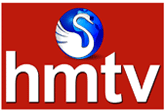 News logo